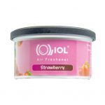 Fresa/Strawberry Ambientador de lata de fibra 43g/Fiber Can Air Freshene 43g (1 Pieza)